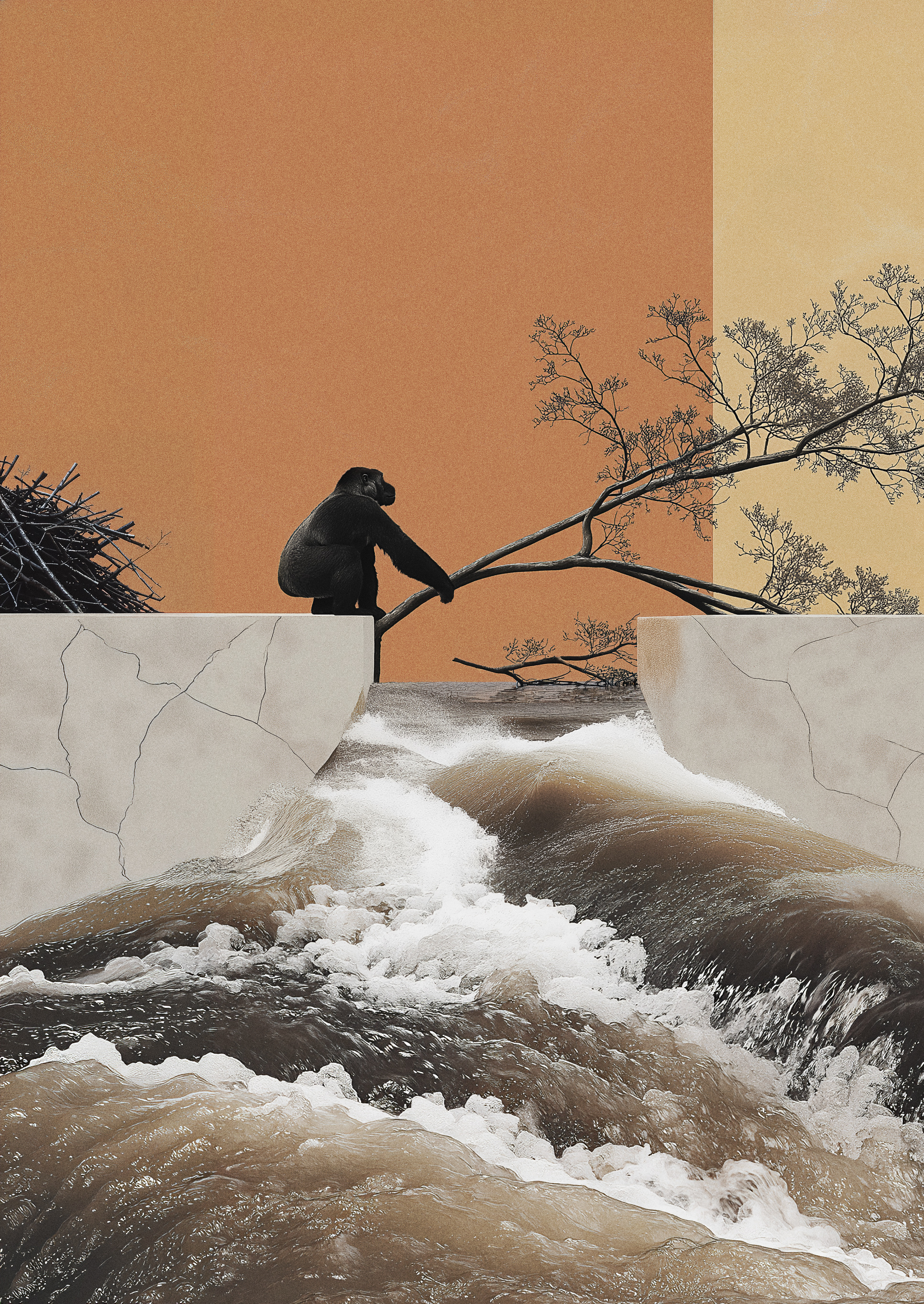 Piko team working on captive insurance data solutions